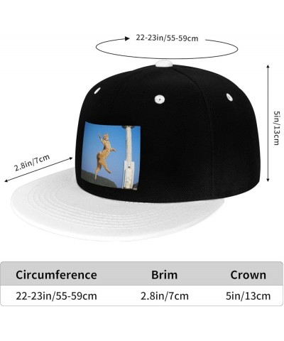 Cute Cat Snapback Hat for Men Women Baseball Cap Trucker Flat Bill Hats Dad Caps White $13.57 Baseball Caps