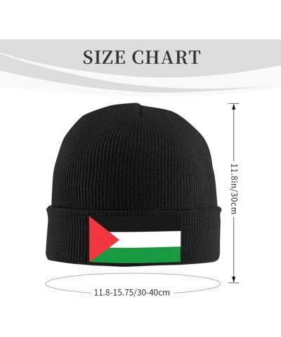 Slouchy Beanie for Women,Flag of Palestine Knit Skull Cap Warm Winter Hat Cuffed Plain Hat Black $10.12 Skullies & Beanies