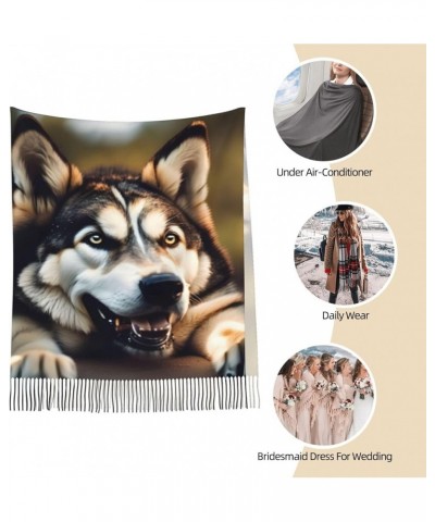 Cute Otter Print Tassel Scarf Women'S Tassel Shawl Scarf Wraps,Fringed Shawl Wrap Spring,Fall,Winter Cute Husky $13.50 Scarves