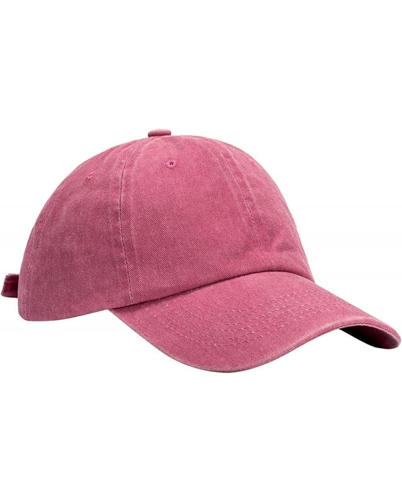 Unisex Baseball Cap Blank Trucker Cap Adjustable Hats for Men Women Outdoor Gifts Birthday Easter Pink $6.59 Baseball Caps