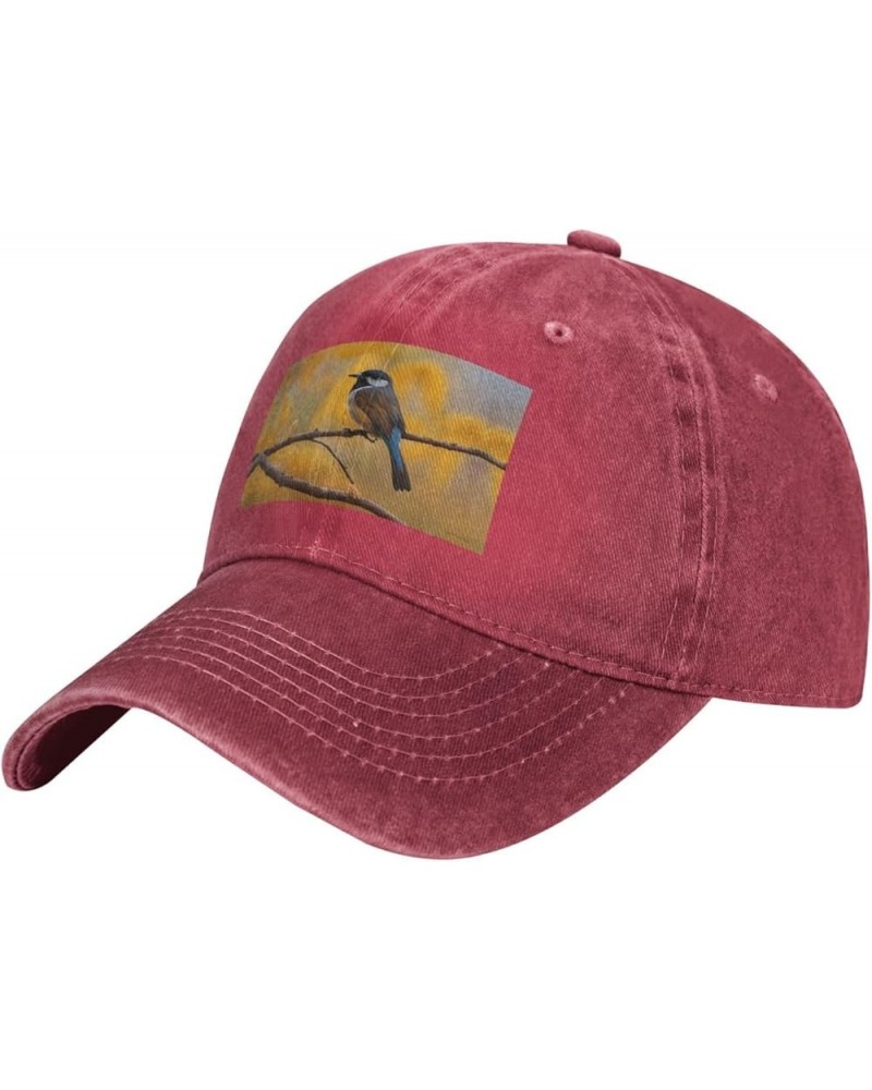 Black Birds Autumn Prints Adult Classic Denim hat : Comfortable, Light Unisex Suitable for Outdoor Sports Travel Red $14.76 C...