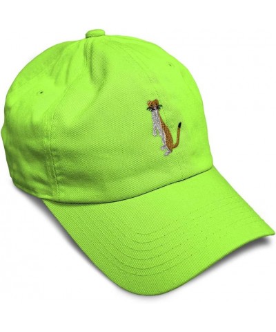 Soft Baseball Cap Weasel Embroidery Wild Animals Weasel Embroidery Cotton Dad Hats for Men & Women Lime Design Only $15.65 Ba...