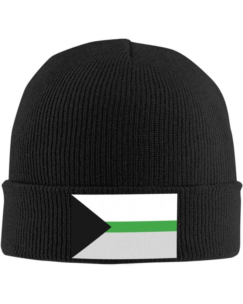 Demiromantic Pride Flag LGBTQ Knit Winter Cap Cozy Winter Essential Ultimate Warmth Men Women Black $12.44 Skullies & Beanies