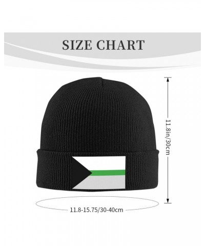 Demiromantic Pride Flag LGBTQ Knit Winter Cap Cozy Winter Essential Ultimate Warmth Men Women Black $12.44 Skullies & Beanies