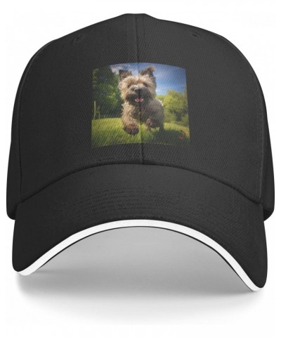 Cairn Terrier Dog Comfortable Sandwich Bill Cap Perfect for Leisure Black $12.51 Baseball Caps