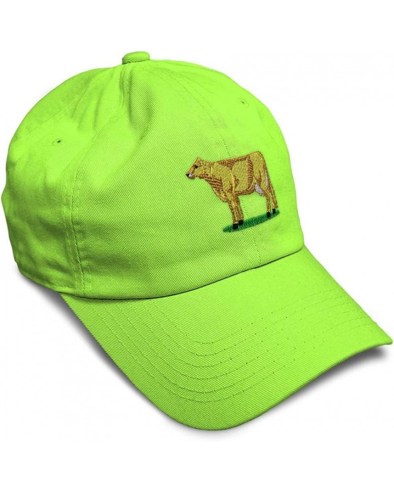 Soft Baseball Cap Brown Swiss Farm and Domesticated Animals Cotton Billards Pool Dad Hats for Men & Women Lime Design Only $1...